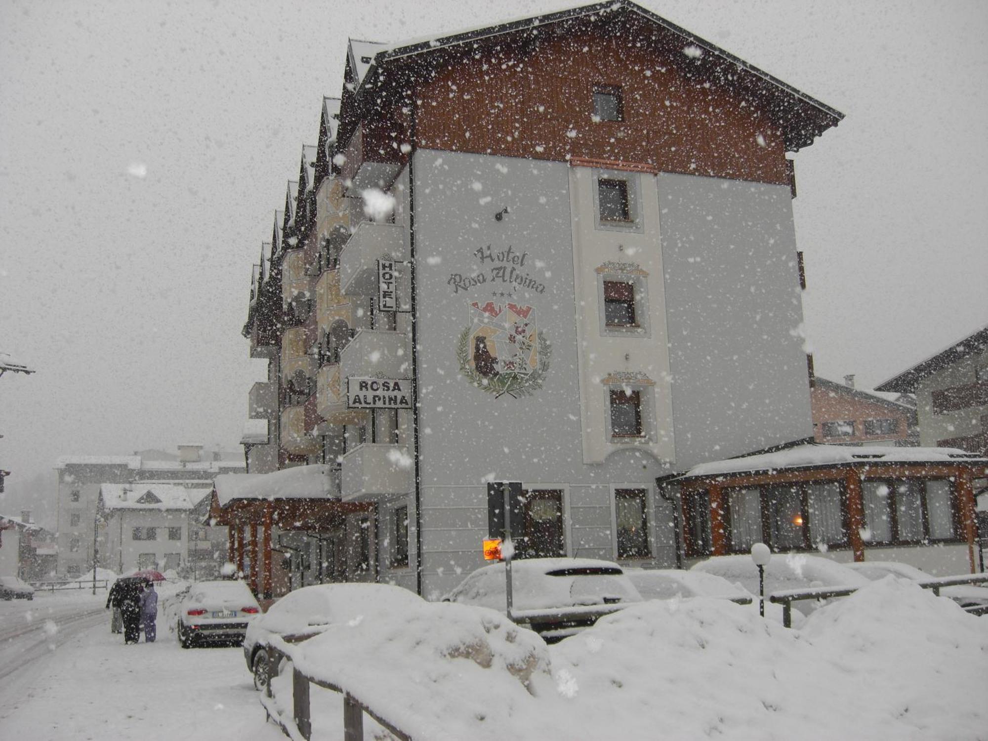 Hotel Rosa Alpina Andalo Dış mekan fotoğraf