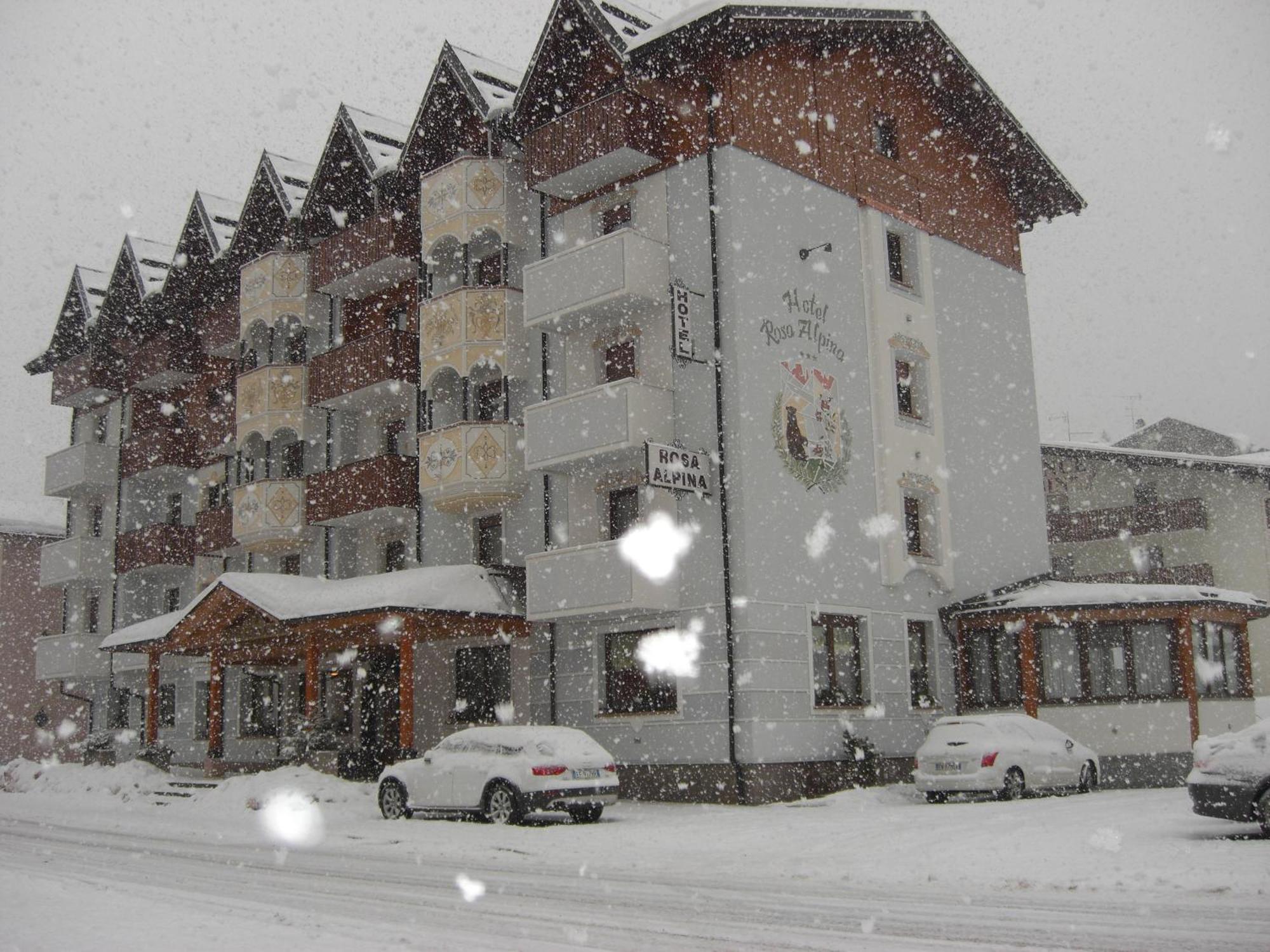 Hotel Rosa Alpina Andalo Dış mekan fotoğraf